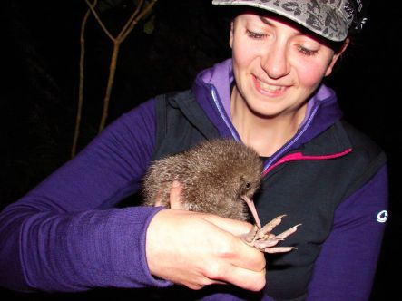 Helen Taylot and little spotted kiwi chick