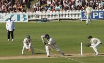 Cricket Insight