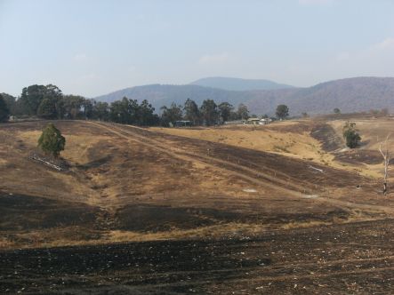 The Lang's burnt out farm at Chum Creek