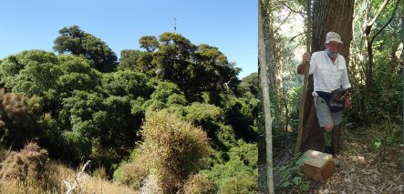 Trapper John Thom at the Kaik Reserve