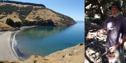 Flea Bay on the eastern side of Banks Peninsula, and trapper John Stuart