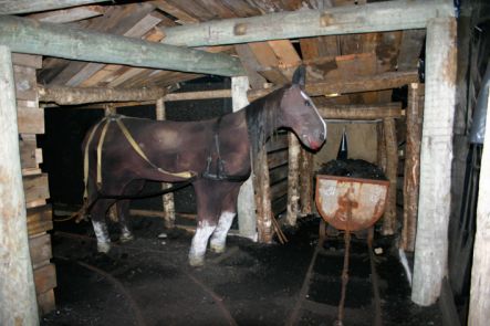 Nugget a replica of the last mining horse made by local children