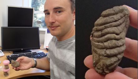 Jamie Wood with a moa coprolite