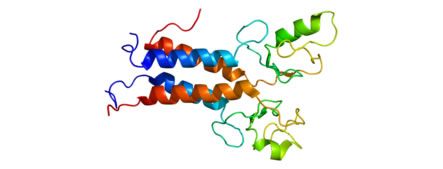 BRCA protein structure