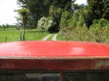 Waihi Bush 9