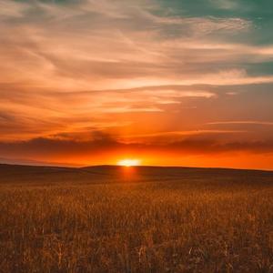 300 evening classics sq